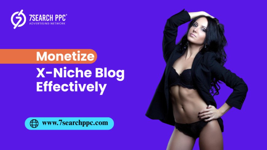 Everything You Need to Know to Monetize X-Niche Blog Effectively