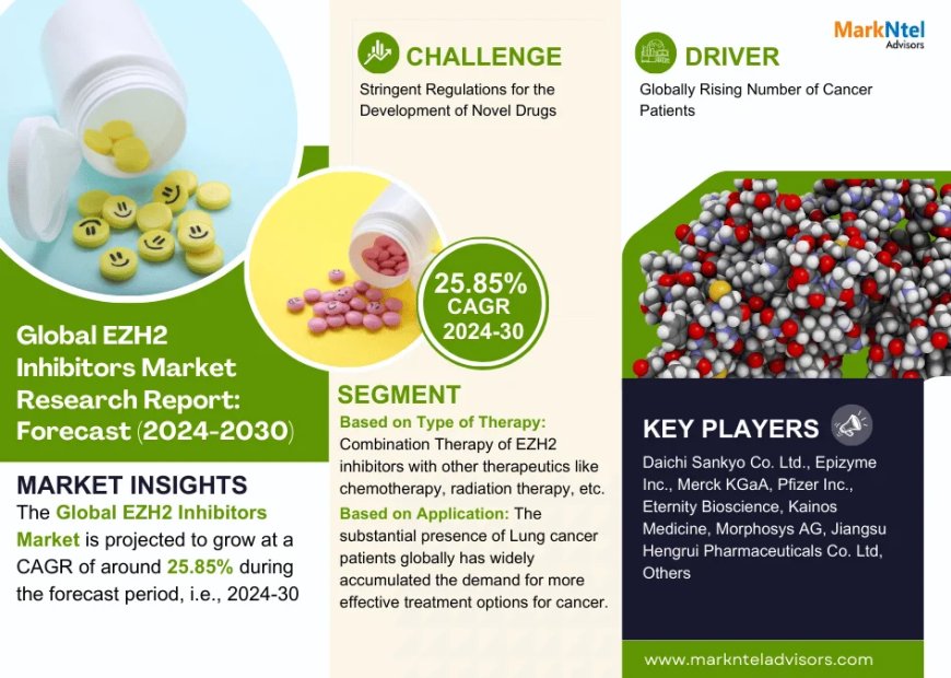 EZH2 Inhibitors Market Set for Explosive Growth with 25.85% CAGR by 2030