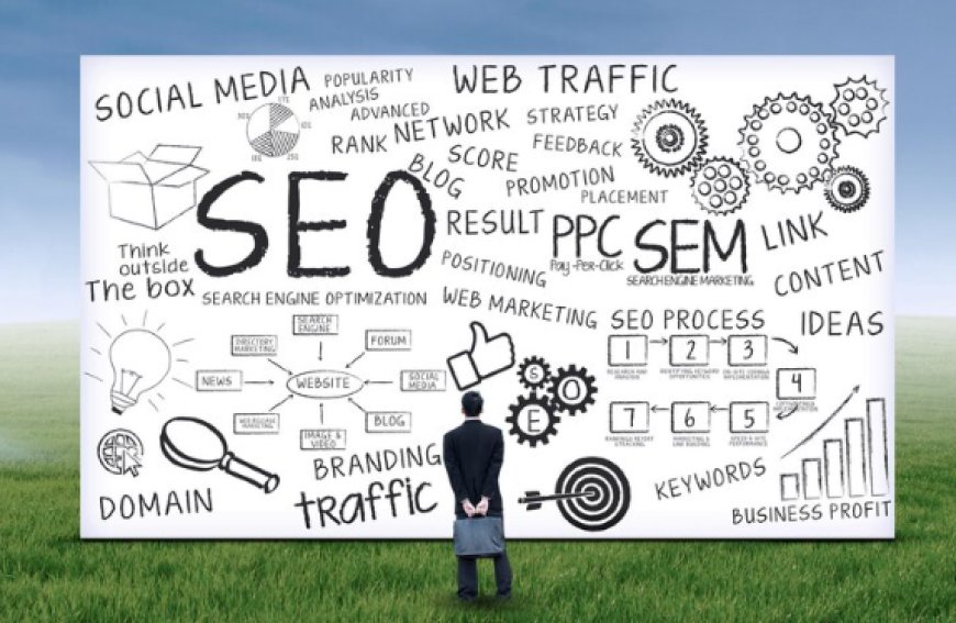 Expert Pay for Performance SEO Services for Fast Growth